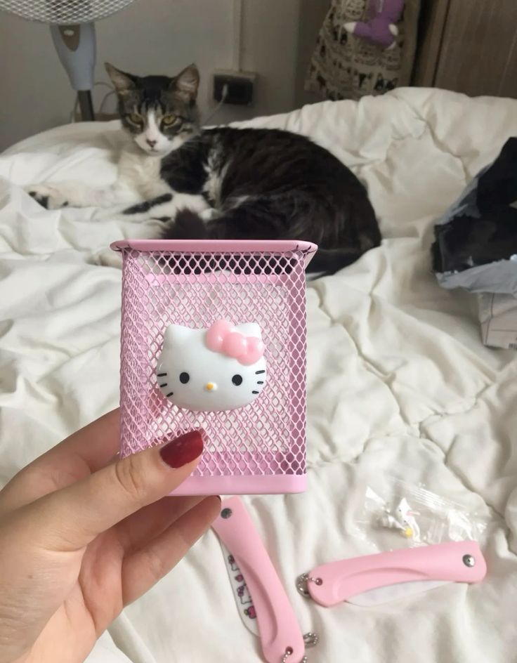 Hello Kitty Stationary Basket